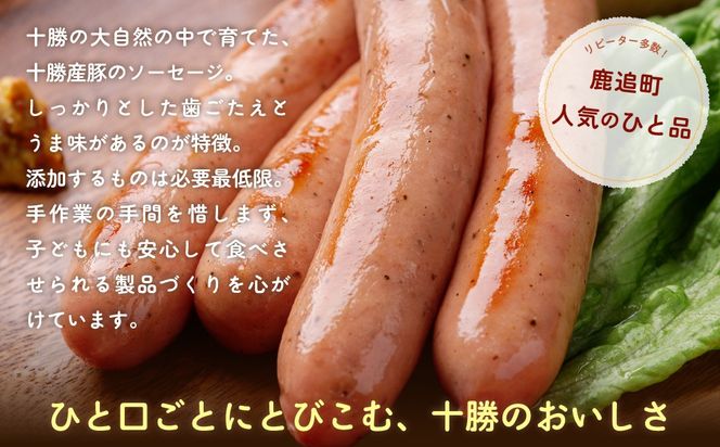 ポークソーセージ 800g(160g×5) SKD020(北海道鹿追町) | ふるさと